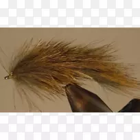 毛皮草科-空若网 毛皮草科-空若网