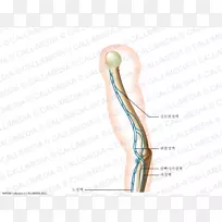指肩颈设计-空若网 指肩颈设计-空若网
