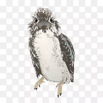 猫头鹰-猫头鹰剪贴画-猫头鹰-空若网 猫头鹰-猫头鹰剪贴画-猫头鹰-空若网