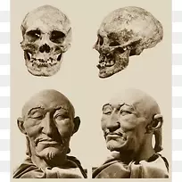 ����������ŵ���ǡ�����˹��������ѧ-��-������