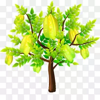 ����-����-������