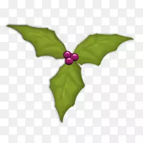 叶开花植物-叶-空若网 叶开花植物-叶-空若网