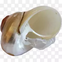 ÍøÒ³²©¿Í»¨Ô°Ãµ¹å¼ôÌù»-¿ÕÈôÍø ÍøÒ³²©¿Í»¨Ô°Ãµ¹å¼ôÌù»-¿ÕÈôÍø