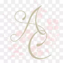 Bundt蛋糕结婚蛋糕海绵蛋糕巧克力蛋糕胡萝卜蛋糕结婚蛋糕-空若网 Bundt蛋糕结婚蛋糕海绵蛋糕巧克力蛋糕胡萝卜蛋糕结婚蛋糕-空若网