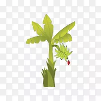 �㽶��-������