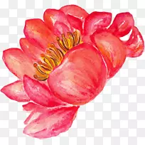 ˮ�ʻ�ĵ��-������