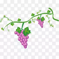 葡萄-载体-葡萄-空若网 葡萄-载体-葡萄-空若网