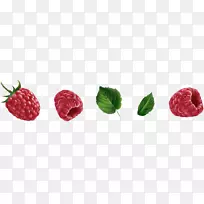 红莓果载体覆盆子-空若网 红莓果载体覆盆子-空若网