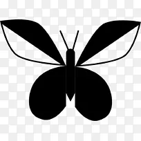 毛茸茸的蝴蝶昆虫电脑图标剪贴画蝴蝶-空若网 毛茸茸的蝴蝶昆虫电脑图标剪贴画蝴蝶-空若网