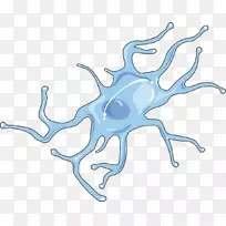 С����ϸ����ϵͳϸ������֯����ѧ-��-������