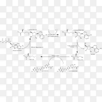 S-���ռ���������������ͬ�Ͱ��װ������ռ���������ø-������