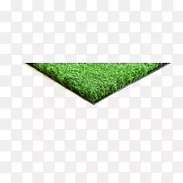 �ݿ�-������