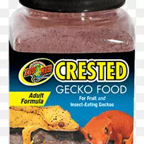 爬行动物冠壁虎食物-空若网 爬行动物冠壁虎食物-空若网