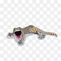 珠宝首饰-空若网 珠宝首饰-空若网