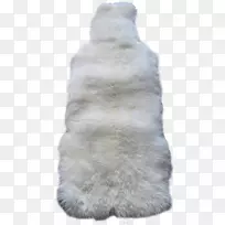 毛皮鼻子-空若网 毛皮鼻子-空若网