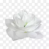 ͼ-������