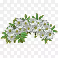 ����������-������