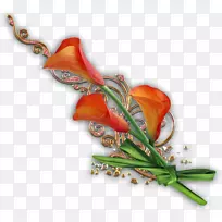 切花-空若网 切花-空若网