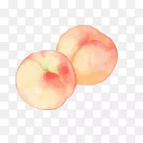 �ҹ���ˮ�ʻ�����-������