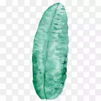 ֲ��ˮ�ʻ��ֻ污����Ҷ-������