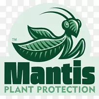 杀虫剂杀螨剂作物保护-昆虫-空若网 杀虫剂杀螨剂作物保护-昆虫-空若网