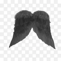 摄影底色天使翅膀-空若网 摄影底色天使翅膀-空若网