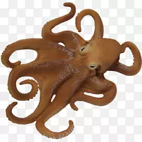 章鱼水生动物大肠杆菌无脊椎动物金粉-空若网 章鱼水生动物大肠杆菌无脊椎动物金粉-空若网