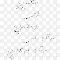 Mifamurtidemuramyl¶þëIJ£Á§Ëáõ¥Ö¬ÖÊÌå¹ÇÈâÁö-¿ÕÈôÍø Mifamurtidemuramyl¶þëIJ£Á§Ëáõ¥Ö¬ÖÊÌå¹ÇÈâÁö-¿ÕÈôÍø