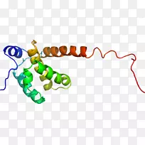 线点生物剪贴画线-空若网 线点生物剪贴画线-空若网