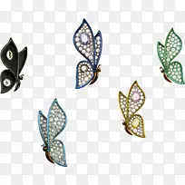 昆虫珠宝.昆虫-空若网 昆虫珠宝.昆虫-空若网