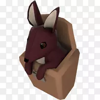 鼻子-空若网 鼻子-空若网