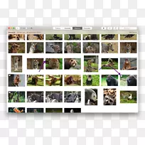 苹果看苹果电视-空若网 苹果看苹果电视-空若网