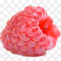 红树莓果实-空若网 红树莓果实-空若网