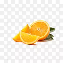 �̽���������-������