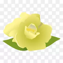 茉莉花花瓣-现实花-空若网 茉莉花花瓣-现实花-空若网