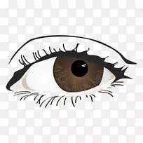 眼睛彩色剪贴画.眼睛-空若网 眼睛彩色剪贴画.眼睛-空若网