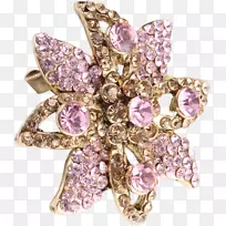 胸针УкрашениеBitxi旧式服装.珠宝-空若网 胸针УкрашениеBitxi旧式服装.珠宝-空若网