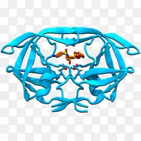 绿松石线对称有机体线-空若网 绿松石线对称有机体线-空若网