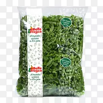 Ҷ�˲ݱ�ֲ��-��ͨ-������