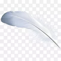 羽毛毛刺材料.羽毛材料-空若网 羽毛毛刺材料.羽毛材料-空若网