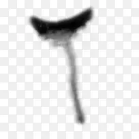 �����ʼ��Ķ�����-�����ʼ�-������