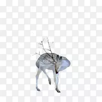 鹿水彩画绘画艺术水彩画鹿新鲜材料-空若网 鹿水彩画绘画艺术水彩画鹿新鲜材料-空若网