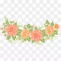 免版税摄影插图.彩绘植物-空若网 免版税摄影插图.彩绘植物-空若网