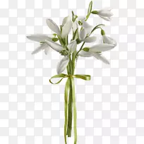 ѩ�仨����л�����-��-������