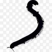 蜗杆线白色剪贴画线-空若网 蜗杆线白色剪贴画线-空若网