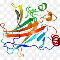 ����ƽ����Ƶ��������-������