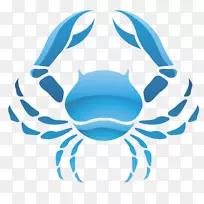 癌症占星术星座印度教占星术-白羊座-空若网 癌症占星术星座印度教占星术-白羊座-空若网