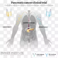 胰腺癌免疫治疗癌症研究所-空若网 胰腺癌免疫治疗癌症研究所-空若网