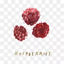 ��ݮ��ͨ��ͼ-Ϳѻ-������