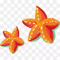 水彩画海星-橙色画海星-空若网 水彩画海星-橙色画海星-空若网